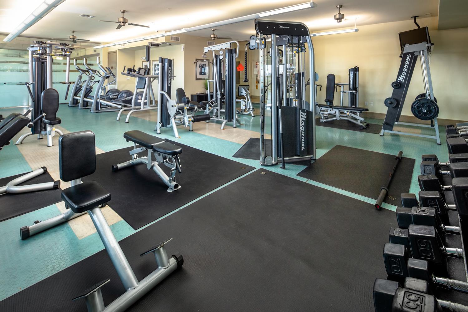 Gorgeous Furnished Apartments Near Texas Medical Center & Nrg Stadium Houston Exterior photo